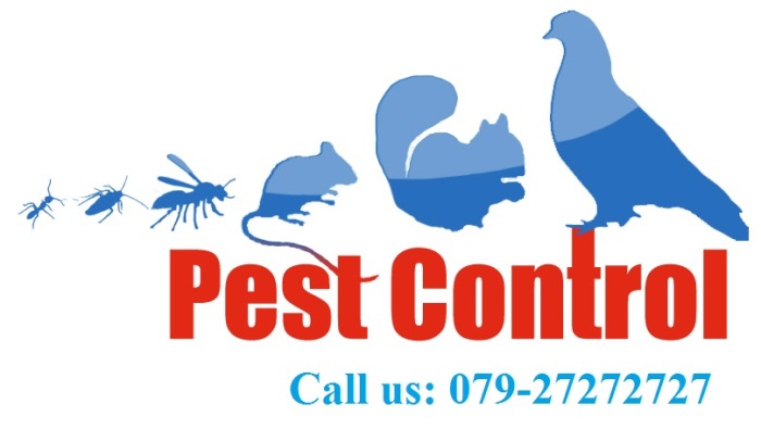 Pest Control Sevice